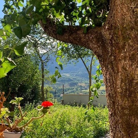 B&B Al San Francesco Castel Di Sangro Exteriér fotografie