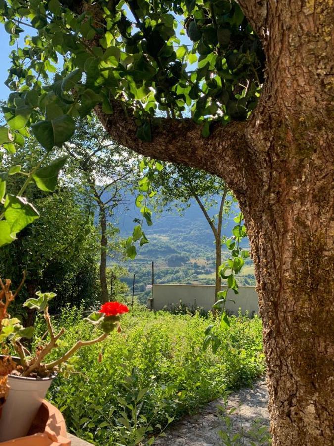 B&B Al San Francesco Castel Di Sangro Exteriér fotografie
